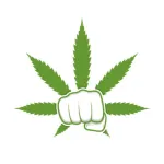 Cannabis-Logo-Graphics-7921141-1-580x386-1